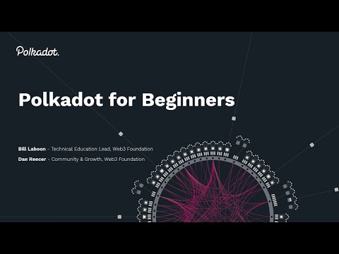 What is Polkadot? A Polkadot for Beginners Guide