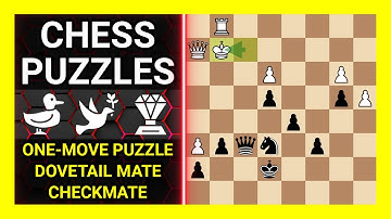 Chess Puzzles to Practice. Themes: One-move puzzle, Dovetail mate, Checkmate. Learn Chess