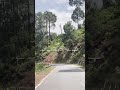 road view