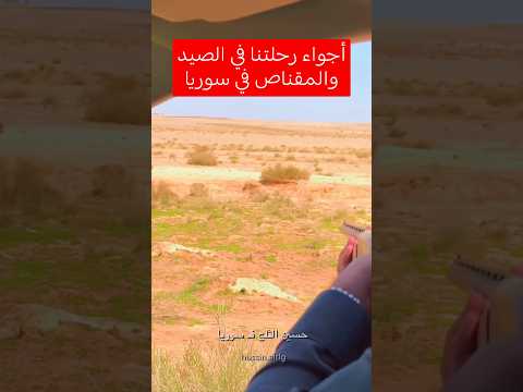 أجواء رحلتنا في الصيد والمقناص في سوريا صيد مقناص سوريا
