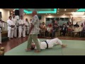 Soke takayuki kubota karate demo nikkei games 2016