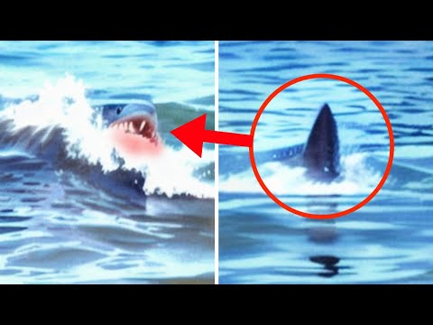 Des scientifiques révèlent la vérité sur un grand requin blanc qui a été mangé par quelque chose !