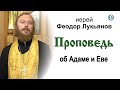 Проповедь об Адаме и Еве (2020.12.26). Иерей Феодор Лукьянов