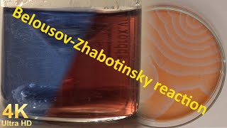 Everything about the Belousov Zhabotinsky reaction