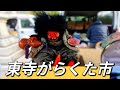 【4K】 Japan Kyoto flea market 京都 東寺 蚤の市　ガラクタ市　アンティーク フリーマーケット 20240107