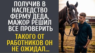 видео: Получив в наследство ферму деда, мажор решил все проверить… Такого от работников он не ожидал… картинка: Получив в наследство ферму деда, мажор решил все проверить… Такого от работников он не ожидал…