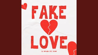 Fake Love