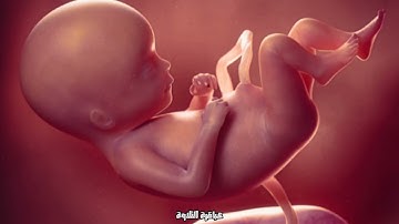 ﴿ يأيها الانسان ما غرك بربك الكريم ﴾ للشيخ عبدالباسط من [سورة الانفطار]