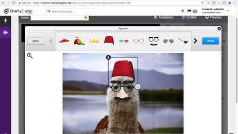 How to Create an Email in CharityEngine - Full Walkthrough