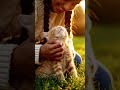 Realistic ASMR: Orange Kitten on Green Grass at Sunset | Soft Petting &amp; Cinematic Calm
