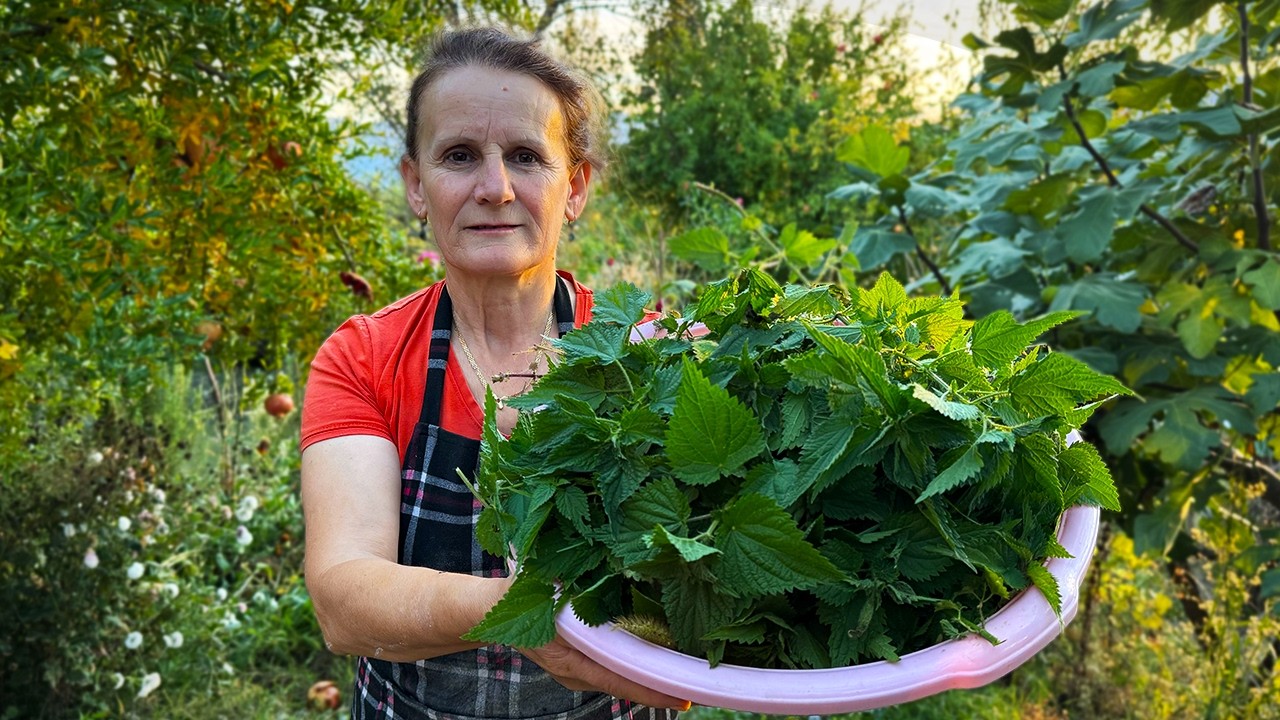 Albanian Nettle Pie & Pasta Feast – Can You Handle This Combo?! 🌿🍝💥