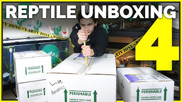 Unboxing 16 Pet Reptiles! Leopard Geckos, Ball Pythons & More New Animals