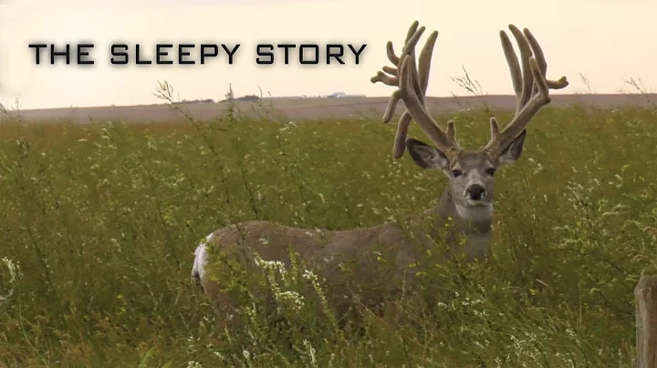 WORLD CLASS 266" MULE DEER - FOUR YEAR BOW HUNTING...