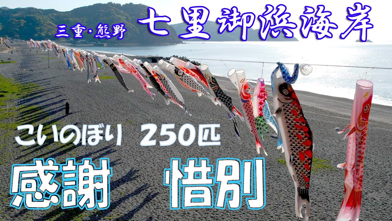 感謝！惜別！こいのぼり250匹 三重・熊野の七里御浜海岸 - YouTube