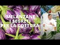 Cuocere le melanzane - tutorial tecniche cottuta Fabio Campoli