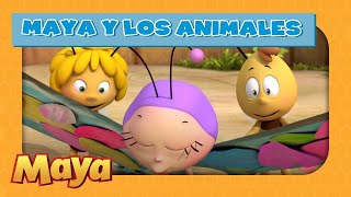 La Abeja Maya  Maya y los animales  Las alas de Beatriz