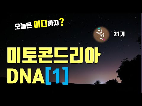 [오늘은 여기까지! 21기] 미토콘드리아 DNA[1편] ㅣ mtDNA의 모양과 구조 ㅣ mitochondrial DNA