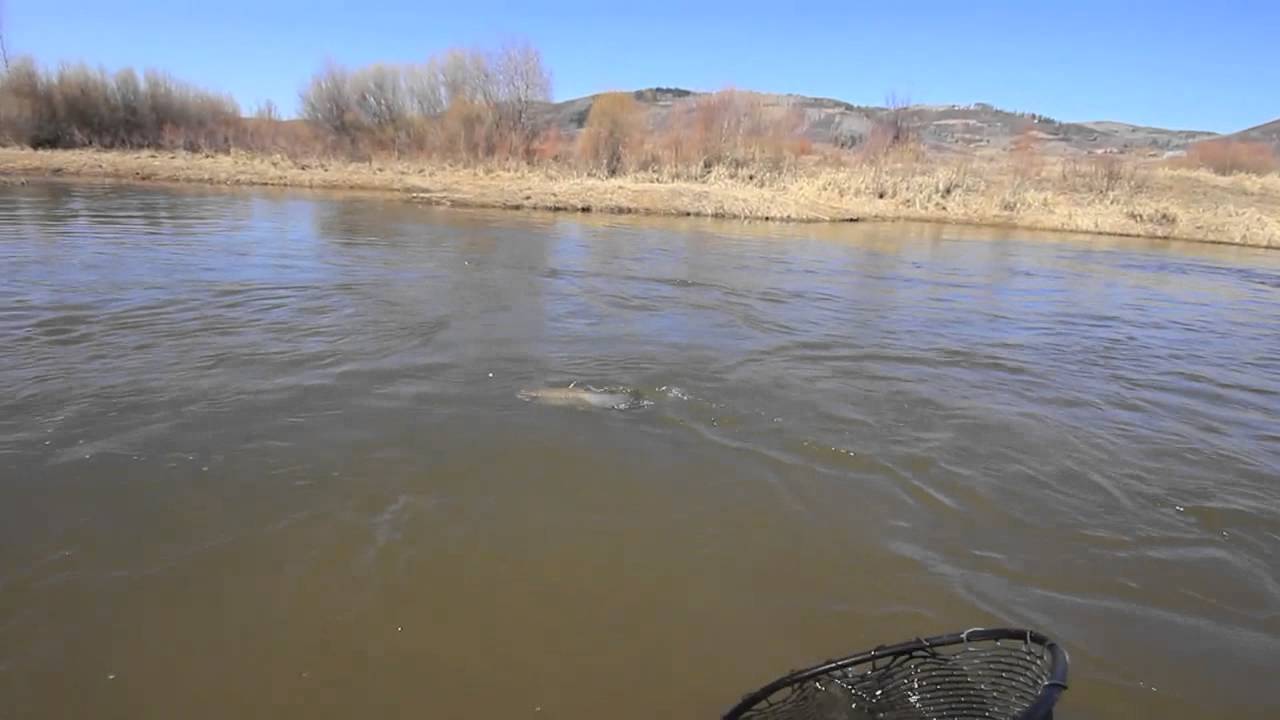 Yampa River Float April 7, 2012 YouTube