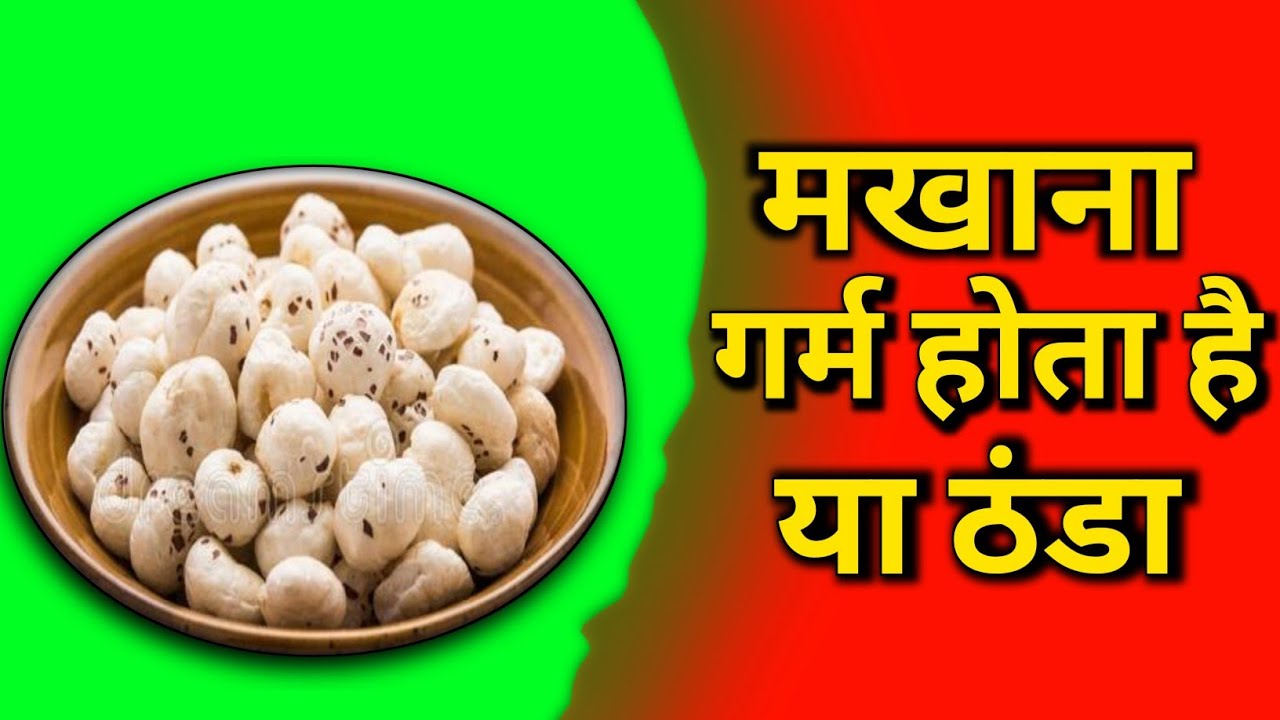 मखाना गर्म होता है या ठंडा//makhana garam hota hai ya thanda//मखाने की