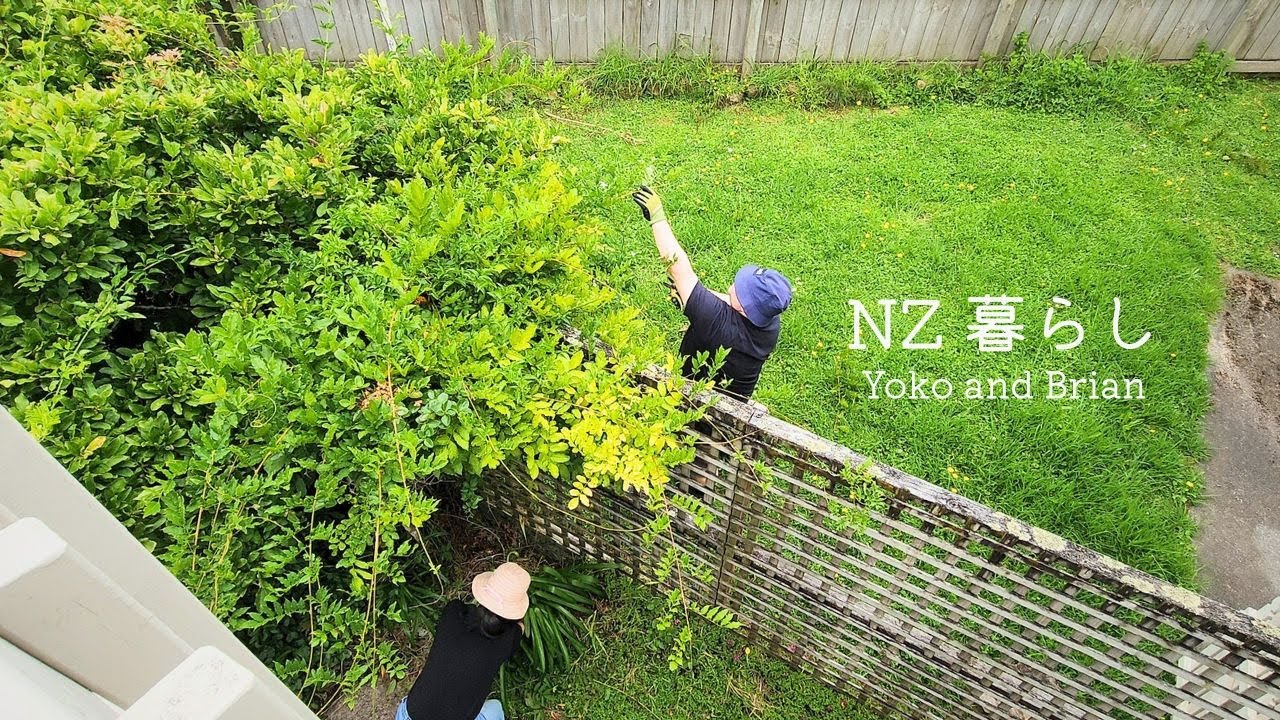 ニュージーランド暮らし🥝サッパリ爽快！夏の庭のお手入れ | ハニーローフ