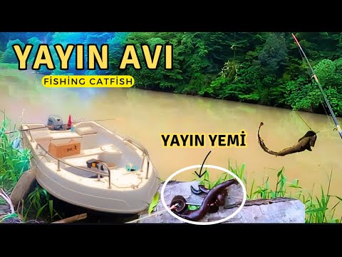 Dip Oltası İle Yayın Avı | Yem Nasıl Takılır ? | Balık Avı | Catfish Hunting