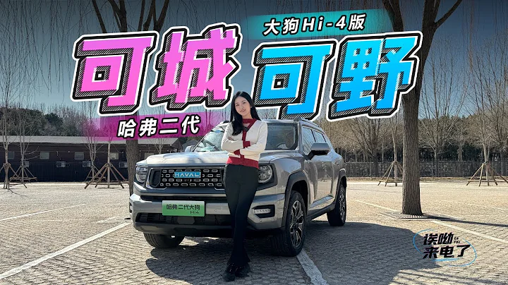 車若初見 | 靜靜 | 可城可野 靜靜試駕哈弗二代大狗Hi-4版 #哈弗大狗 - 天天要聞