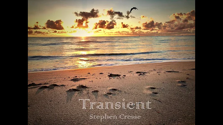 Transient - Stephen Cresse (Music Video)