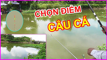✅ Đi Tìm Điểm Câu Cá Chép, Cá Diếc  Đầu Mùa | Giật Cá Mỏi Tay Với Điểm Câu Này | Câu Cá Sông Quê