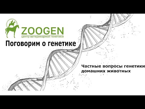 Видео: Могут ли генетики быть домашними животными?