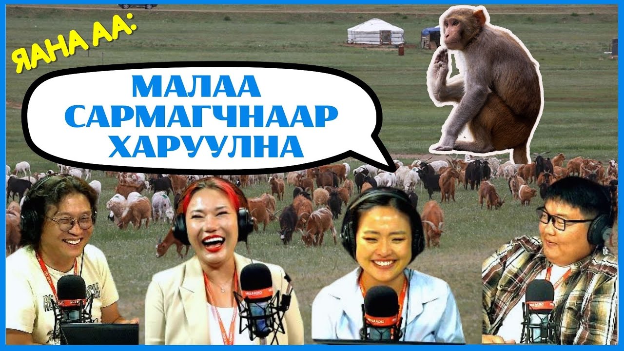 Яана аа | 2024-08-19 | Бэлэгний хонь чинь амьд уу?
