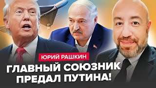 видео: РАШКІН: Лукашенко і Трамп ЗМОВИЛИСЬ за спиною у Путіна. Кремль ЛЮТУЄ. Реакція США на приліт у Польщі картинка: РАШКІН: Лукашенко і Трамп ЗМОВИЛИСЬ за спиною у Путіна. Кремль ЛЮТУЄ. Реакція США на приліт у Польщі