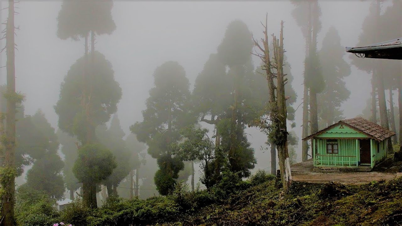 WBFDC Lava Nature Resort | North Bengal | West Bengal Tourism| Lava