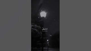 تلاوة سكينة وطمأنينة | قرآن كريم حالات واتس.