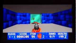 Wolfenstein 3D On The 3DO