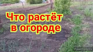 Жизнь женщины в деревне. Ремонтирую порог. Что растëт в огороде