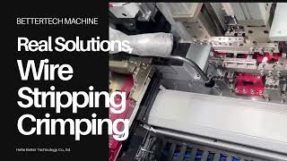 Automatic Wire Crimp Terminal Housing Assembly Machine - Bettertech