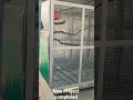 8ft×6ft size cage ready #birds