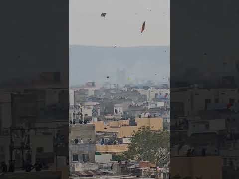 kite flying on makar sankranti /sankranti/makar sankranti 2022 #shorts #ytshorts