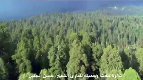 تلاوة جميلة وهادئة للقارئ الشيخ: حسن الجليل