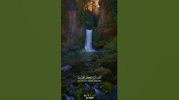 ما تيسر من سورة الزخرف  القارئ محمد اللحيدان اکتب_شی_تؤجر_عليه_يوم_القيامة_😶‍🌫️