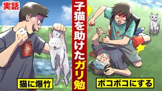 【実話】子猫に爆竹を仕掛けた悪ガキ。ガリ勉がキレて...ボコボコにする。