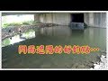 不用再戴安全帽釣魚了.....