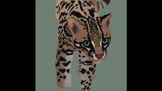 Ocelot painting progression