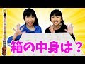 でっかい箱の中身は何かな？？日清詰合せ★seira & kokomi にゃーにゃちゃんねる