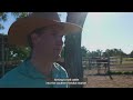 How it works: Gallagher Animal Performance &amp; Black Box Integration
