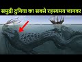 गहरे समंदर में बस्ता है ये रहस्यमय जीव | Mystery of Giant Squid | Mystery of Kraken
