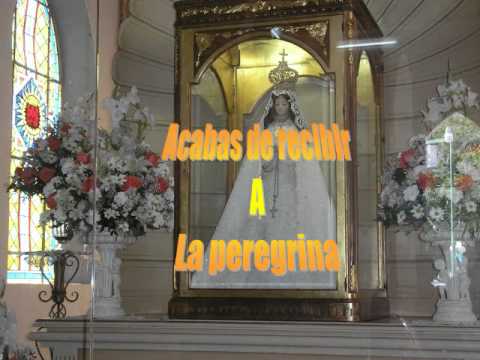 La Virgen Pelegrina.avi