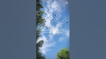 قران كريم بصوت الشيخ ياسر الدوسري #اكسبلور #ياسر_الدوسري #قران_كريم #راحة_نفسية