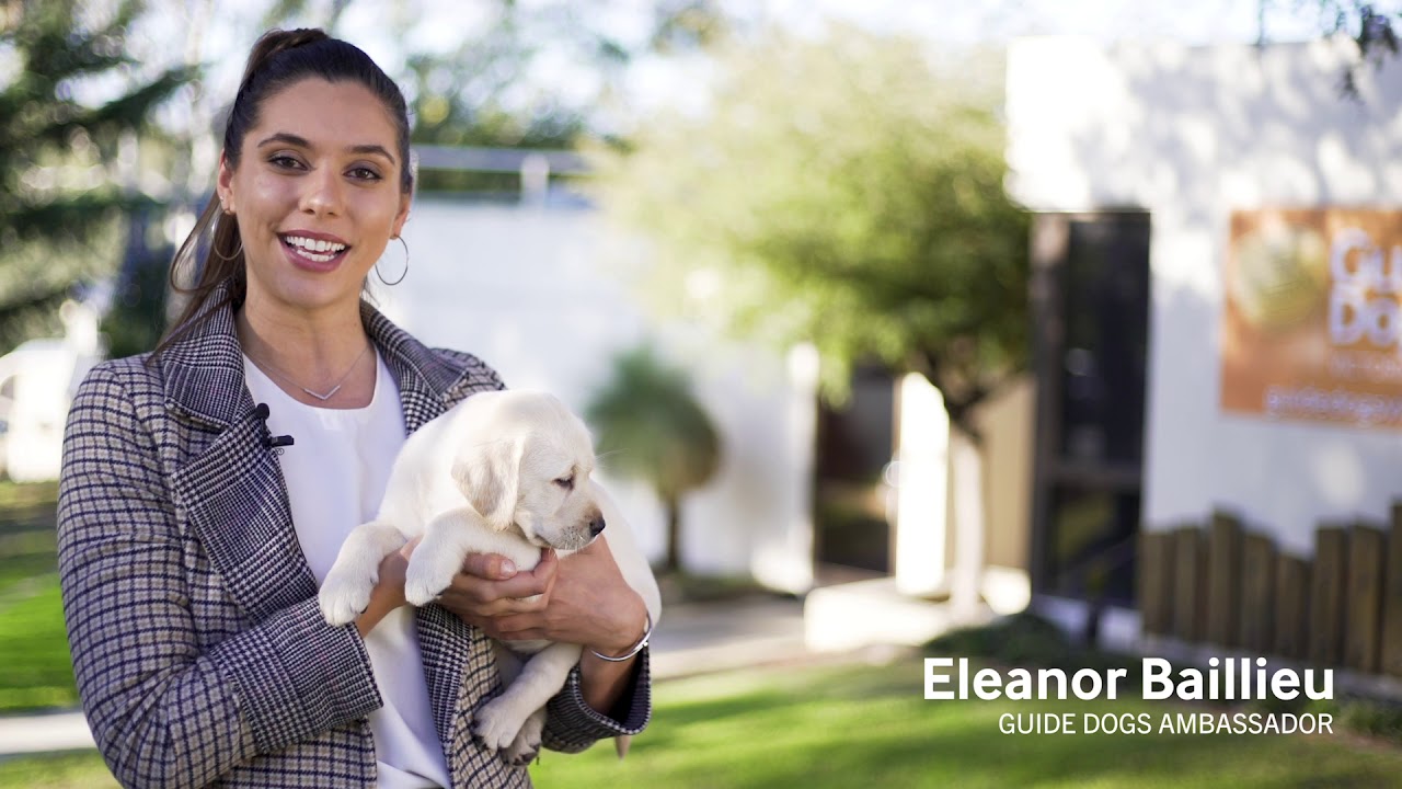Eleanor Baillieu Guide Dogs Ambassador YouTube