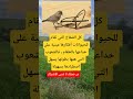 كل الفخاخ التي تقام اكسبلور ذواقه معلومات محركات علم النفس اقنباسات ترند لايك العظماء متابعه كل الفخاخ التي تقام اكسبلور ذواقه معلومات محركات علم النفس اقنباسات ترند لايك العظماء متابعه